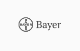 03 bayer